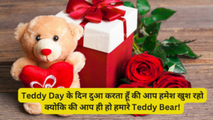 ____Teddy Day के दिन दुआ करता हूँ की आप हमेश खुश रहो क्योकि की आप ही हो हमारे Teddy Bear